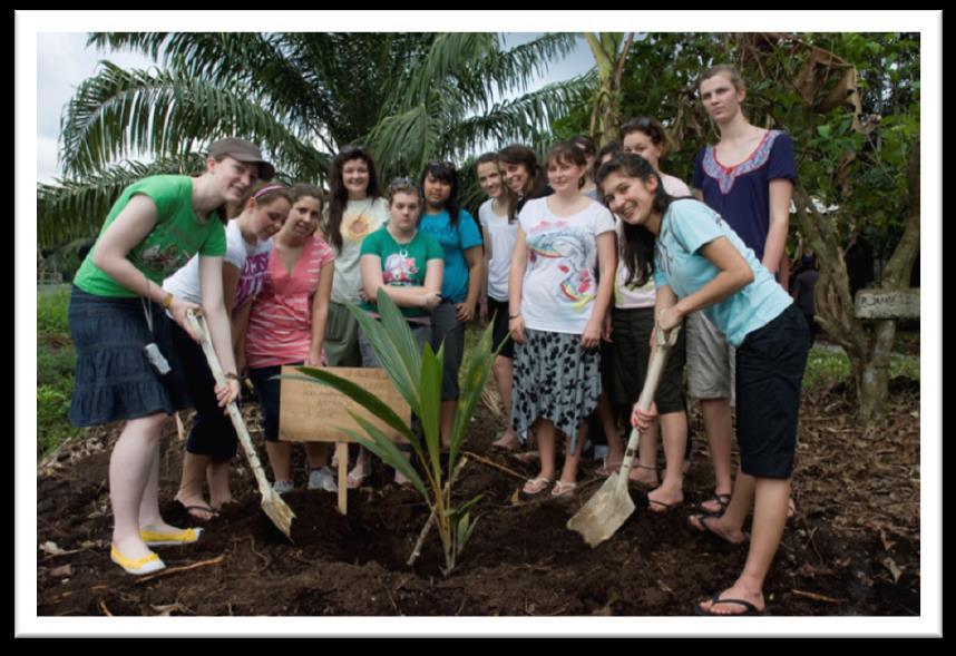 23 Encourages tree-planting in Homestays as part of its initiative to promote environmental awareness & conservation.