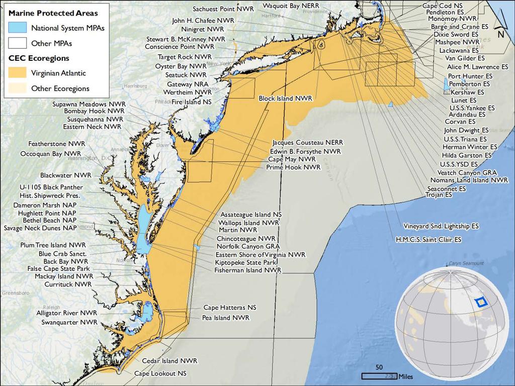 Virginian Atlantic (Ecoregion 8) Background The Virginian Atlantic Ecoregion extends from the south side of Cape Cod to Cape Hatteras in North Carolina.