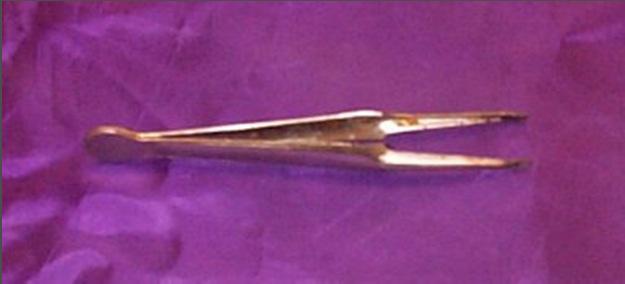 Forceps Forceps are used to hold or pick up small objects Remember: it is best