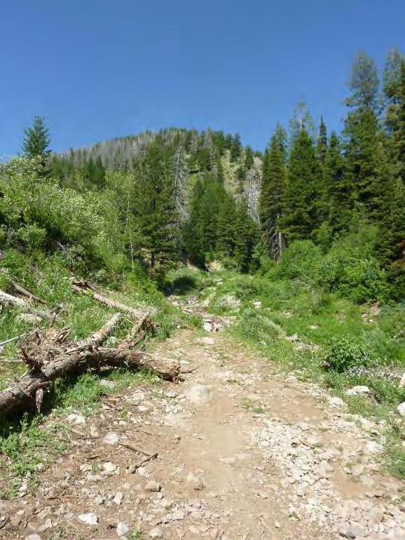 This road is used by the Star Valley Ranch Association and Leisure Valley Inc. to maintain access to water collection facilities in the canyon.
