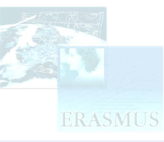 ERASMUS Strategic