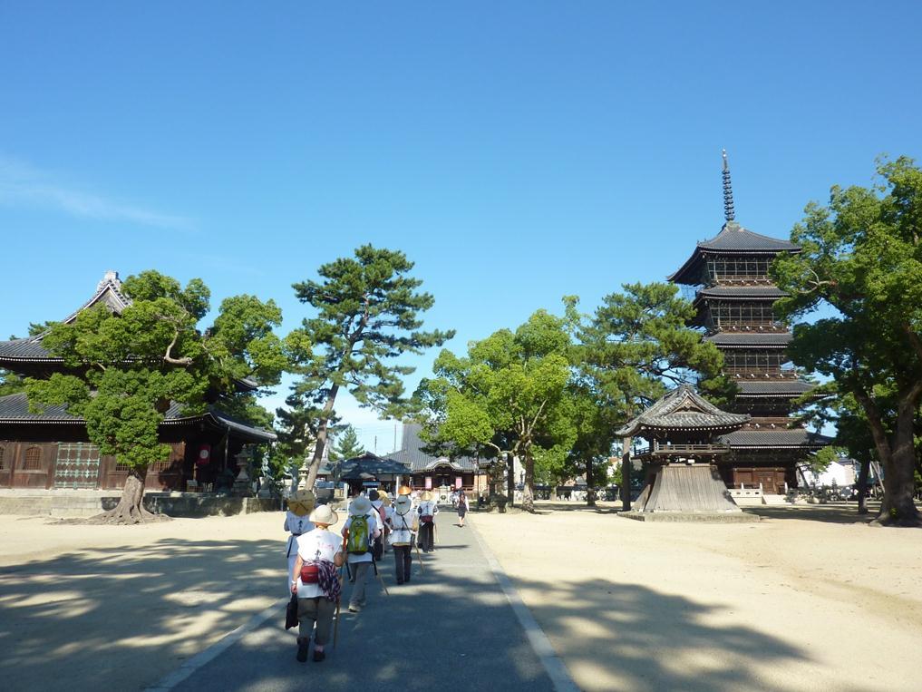 Shikoku Pilgrimage: Japan's 88 Temple
