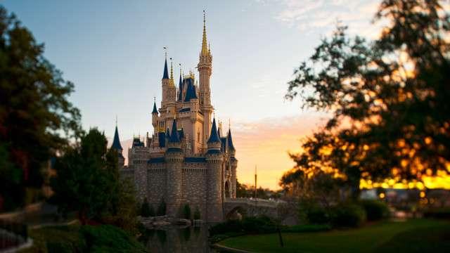 DAY FOUR / FRIDAY, NOVEMBER 25, 2016 DISNEY S MAGIC KINGDOM DISNEY S PERFORMING ARTS PARADE PERFORMANCE Deluxe Continental Breakfast at the hotel this morning included Dinner in the park this day -