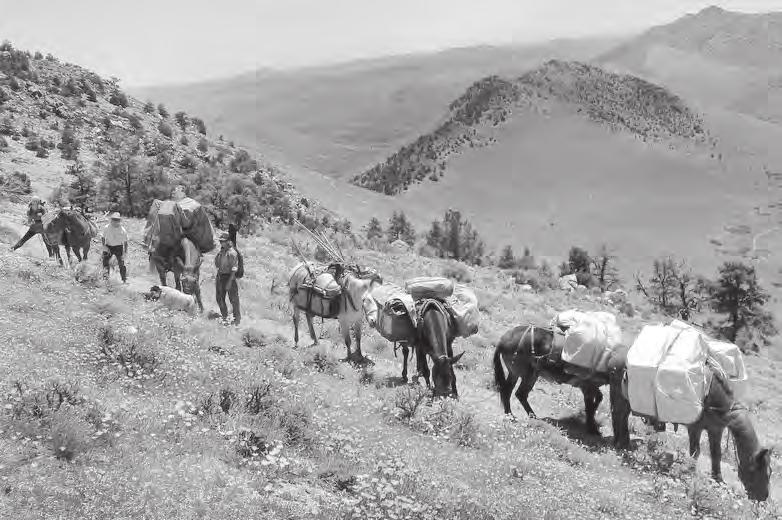 Public Lands Save the Future of Stock Use on P ublic lands Submitted by Bob Magee Vice President Public Lands We Backcountry Horsemen of California are obligated to work for the use, care and