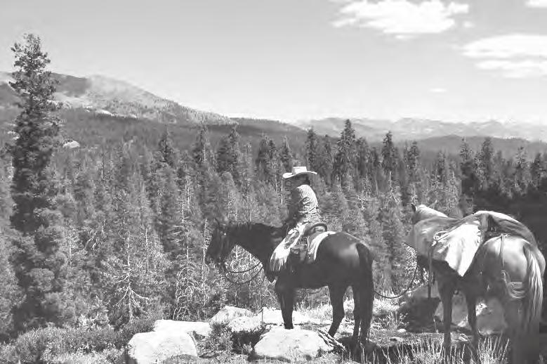 BCHC OBJECTIVES AND PURPOSE of the BACKCOUNTRY HORSEMEN OF CALIFORNIA (from the BCHC Bylaws) To improve and promote the use, care and development of California backcountry trails, campsites, streams