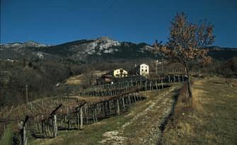 Goriška Region forms main border with Italy By size, Goriška is the third largest Slovenian region, while only the sixth by population.