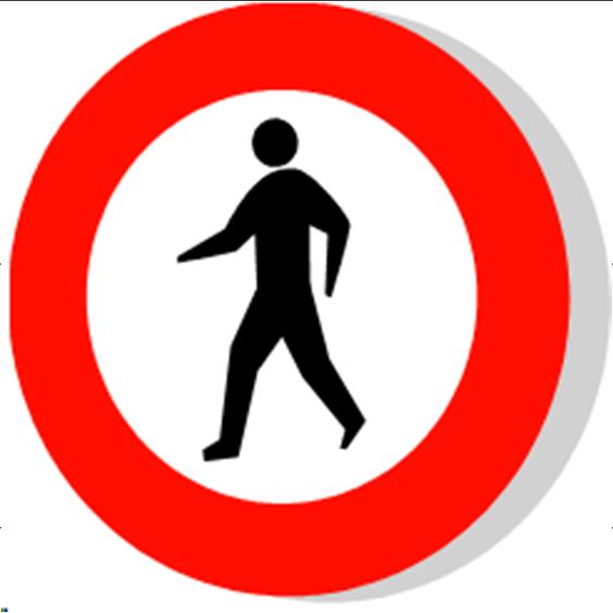 Pedestrians Involved in by Age and Injury Severity 70 60 (2*) 60 (1*) 55 Number of Injuries and *Fatalities 50 40 30 20 (3*) 20 47 (1*) 46 (2*) 45 30 (1*) 35 (2*) 29 (2*) 26 (1*) (3*) 20