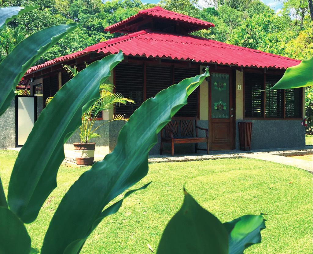 DELUXE BUNGALOWS Fallow the walkways and you will find your deluxe bungalow, tucked away in its own private garden and designed with your comfort in mind.