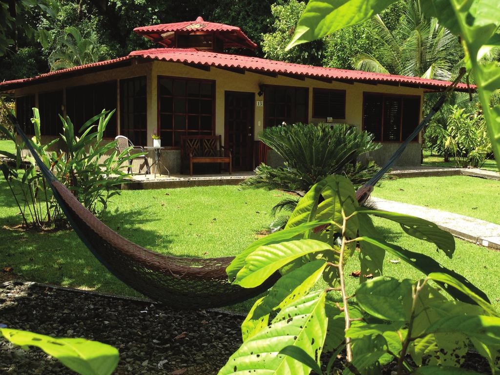 JUNIOR SUITES Set against the backdrop of the jungle, our largest bungalows are divided into two interconnecting junior suites making them ideal for family groups or friends.