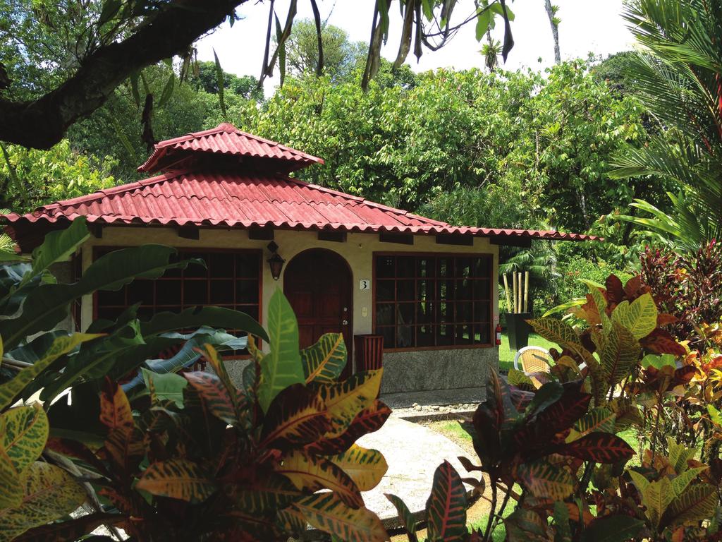 HONEYMOON SUITES Our honeymoon suites are extra-private, hidden away in the lush tropical greenery of the beautiful Casa Corcovado gardens.