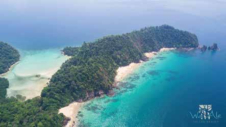 FEATURES Wa Ale Island Resort, Myeik Archipelago, Burma Hotel and Restaurant of the month recommended by Saffron Travel.