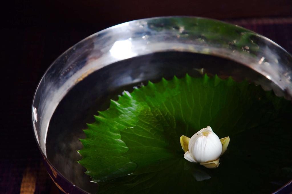 Bua Phan From ancient times, Thai culture has revered the fragrant water lotus as reflecting Buddha s eternal joy on the entire family, with its roots denoting the sincere and long lasting care that