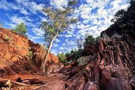 CENTRAL AUSTRALIA 12 Days March - April 2015 Age Group: 16-25 years Cost $2000.