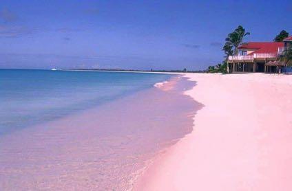 PINK BEACH Lombok s famous pink beach, please note sometimes the road is