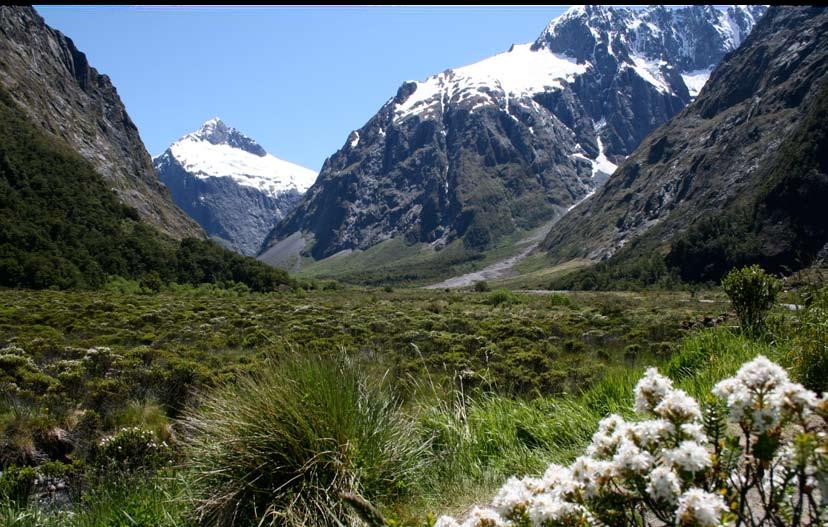Tour 4 Tour New 1 Zealand Alaskan by RV Highway Tour 4 New Zealand Motorhome Convoy Tour both islands of New Zealand in the company of other motorhome friends & a tour guide.