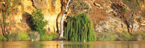 6 Inclusions Complimentary return coach transfers from Adelaide Complimentary car parking in Mannum All meals (buffet and a la carte) Guided nature walks and eco excursions On-board