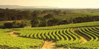 McLaren Vale Food and Wine Indulgence $142pp Enjoy a day exploring the beautiful McLaren Vale wine region where you will enjoy wine tastings and local produce from some of the most popular cellar