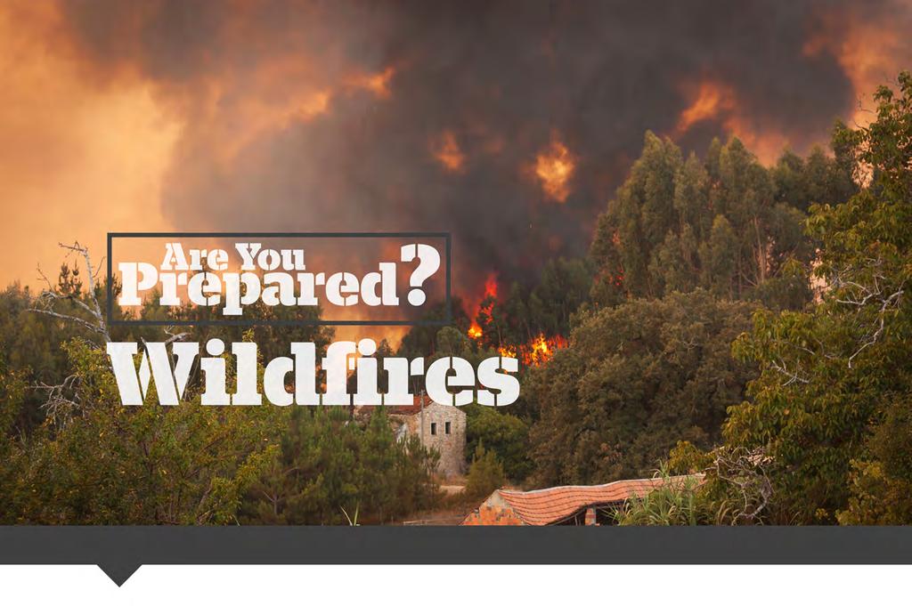 Courtesy of Wilson M. Beck Insurance Group Many homeowners face the risk of wildfires, which are usually triggered by lightning or accidents. They spread quickly, igniting brush, trees and homes.