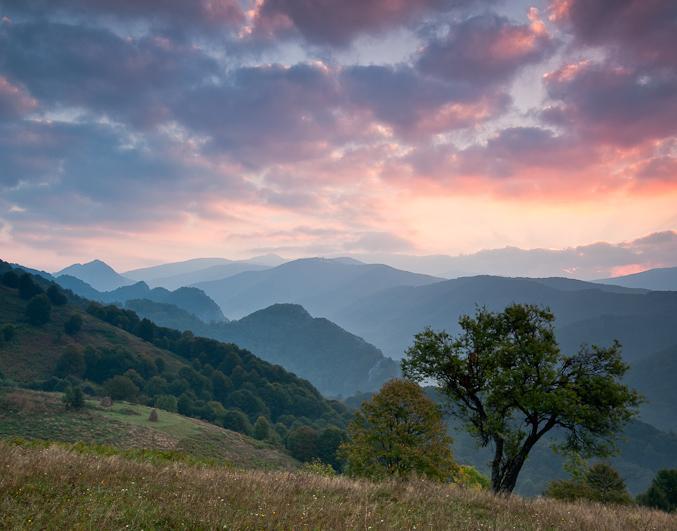 Conservation and development in the heart of Romania WWF began a major project with an integrated approach to nature conservation and local development over an area of 260,000 ha in the heart of