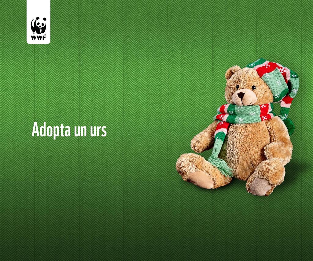 Adopt a bear We started online fundraising in Romania in 2011.