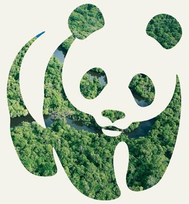 worldwide 1961 WWF was founded In 1961 +5M WWF has