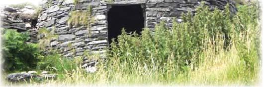 [B,D] Dingle Peninsula Kylemore Abbey Day 6: Tuesday 11/3, WESTPORT / CONNEMARA / KYLEMORE / WESTPORT We travel through the Connemara region to Kylemore Abbey, a gothic castle on the shores of