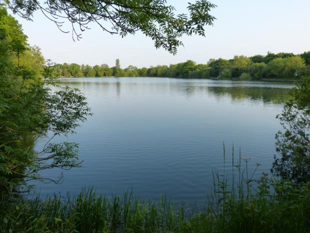 for angling; there is no extensive perimeter vegetation and although it is not a large lake the views across it are open and clear from most points around its edge.
