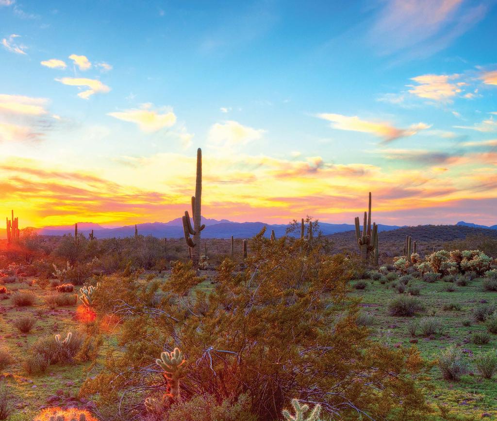 Whatever your mood, Scottsdale offers experiences as diverse as its landscape.