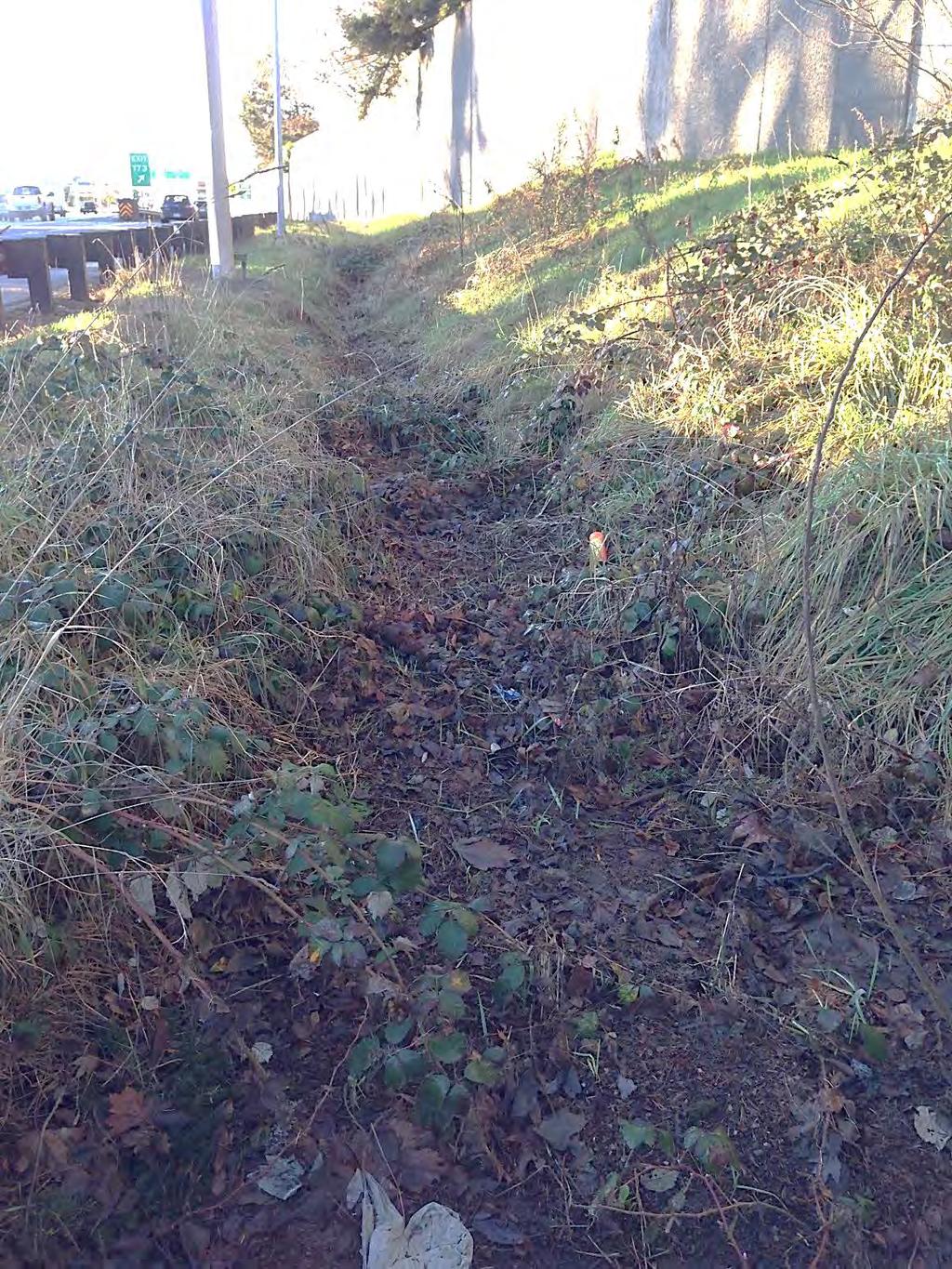 Ditch drains north Photo 4. Jurisdictional Ditch A: Jurisdictional Ditch A is located along the road shoulder to I-5.