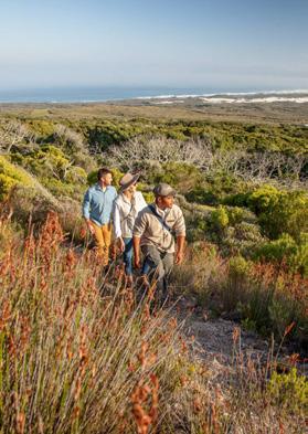 Home of the Marine Big 5 - whales, sharks, dolphins, seals and penguins; and with unparalleled floral diversity, Grootbos offers you a one-of-a-kind luxury African experience.