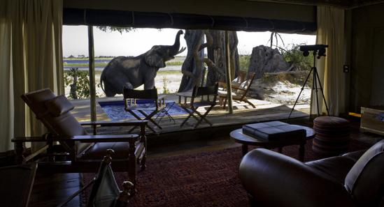 Zarafa Camp and Dhow Suites are the brainchild of the founders of Great Plains Conservation, who pooled their collective