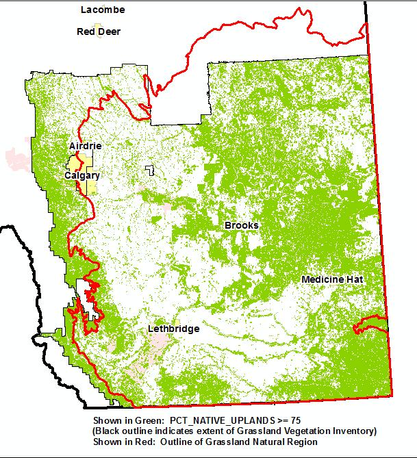 In the following figure, the Government of Alberta s (GOA) Grassland Vegetation Inventory database shows blocks of native prairie with either >75% native or >90% native uplands remaining within the