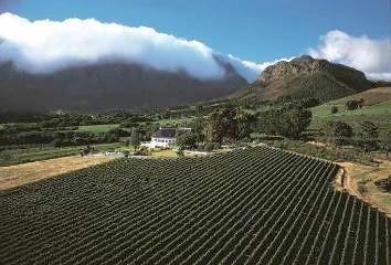 The Cape Winelands region with its classic Cape-Dutch homesteads, scenic mountainous vistas, picturesque towns and fine restaurants is the Cape s Culinary Capital.