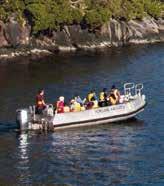 Bottlenose dolphins Hear only birdsong and waterfalls during the 'Sound of Silence', while floating on the fiord with the boat's engines turned off Learn from our dedicated Nature Guide who provides