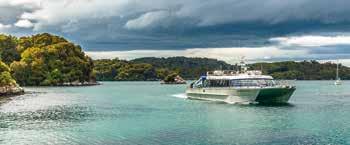 Explore an untouched paradise Stewart Island Be sure to try fresh seafood crayfish, blue cod and 'world famous in NZ' Bluff Oysters Be lucky enough to perhaps walk among some of New Zealand s rarest
