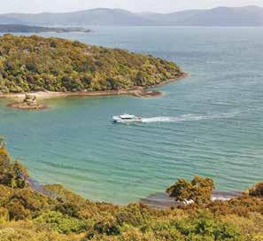 Stewart Island Village & Bays Tours Guided Walks Ulva Island Explorer Wild Kiwi Encounter Explore Oban village and its surrounding bays with a local guide.