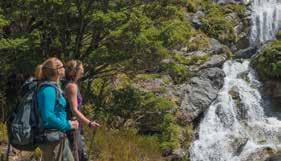 Located in one of New Zealand s most remote areas, the Fiordland National Park, the track passes through the heart of this breathtaking region It is renowned for its spectacular scenery tranquil