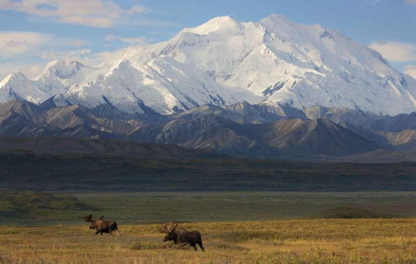 You ll soar through the awe-inspiring Alaska Range, over glaciers, and to the North Face of Denali.