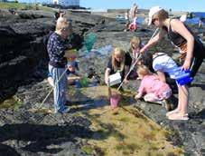 com Assembly Point: 1:00pm meet at Cushendall Playground beside entrance to the Golf Course (postcode BT44 0NG) Come and meet Ulster Wildlife s Living Seas Team and join us for a rock-pool exploring
