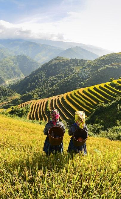 VIETNAM Vastly diverse cultures and traditions thanks to a rich