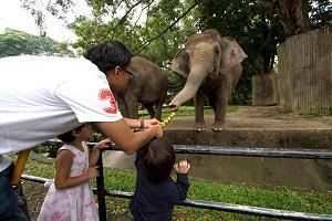 For funding, Zoo Negara relies on gate collections and on