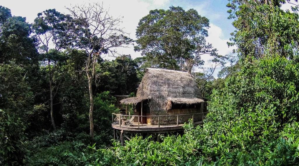 Located on the western boundary of Odzala-Kokoua National Park, in the Ndzehi Forest, private concession, and one of three Odzala Discovery Camps Republic of the Congo based accommodations, Ngaga