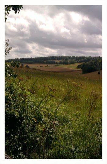 Housing Development Sites in Eynsford Cllr Michael Horwood, Sevenoaks District Councillor for Eynsford Some residents may have heard about sites being considered for development in the Eynsford (and
