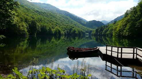 Biogradska Gora National Park, is very rich in flora and fauna.