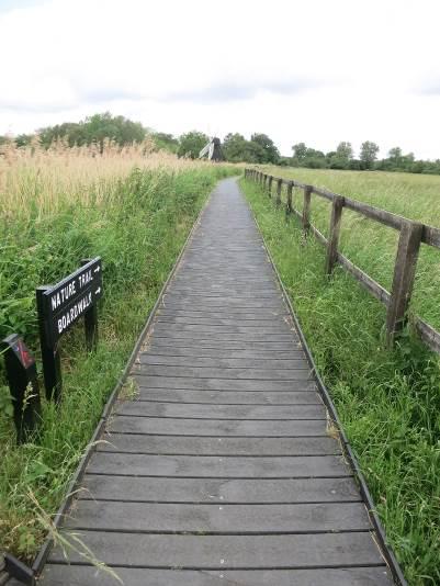 Suitable for wheelchairs, motorised buggies and prams. There are passing places. It provides access around the fen in a ¾ mile loop taking in a range of habitats and passing the wind pump.