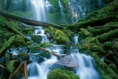Extend and Enhance Capacity The various challenges facing wilderness and wild and scenic rivers management due to declining budgets, decreasing staffing levels, and increasing demands are real and