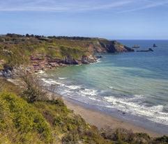 Visitor s TOP TIPS The local beaches and coastline are beautiful, particularly Elberry Cove where you can walk your dog all year round.