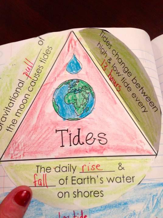 Label. Tides triangle: Students cut around the big circle.