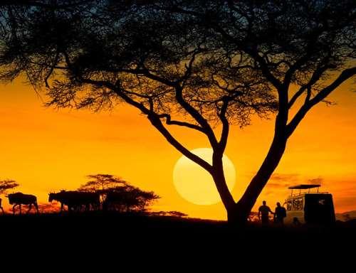 Tanzania A visit to Tanzania presents the opportunity to witness firsthand the immense diversity of nature.