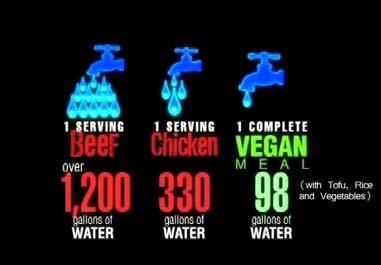 Veganstvo: najbolje rješenje za globalnu krizu vode 69 prašuma, globalnom porastu temperature, zagađenju vode, nedostatku vode, stvaranju pustinja, zloupotrebi energetskih resursa i gladi u svijetu.